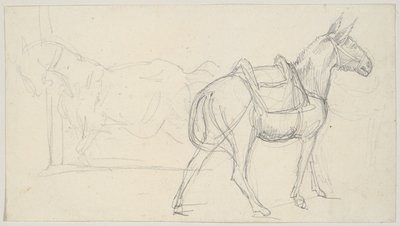 Szkic konia autorstwa Theodore Gericault