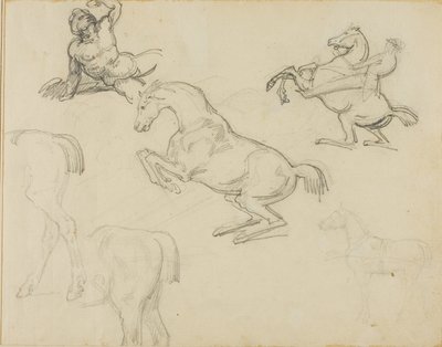 Szkice: Leżący akt, jeździec i różne konie autorstwa Theodore Gericault