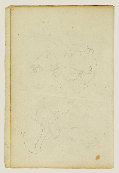 Szkice głowy i tylnych łap lwa autorstwa Theodore Gericault