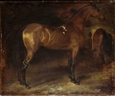 Koń Hiszpański - olej na płótnie autorstwa Theodore Gericault