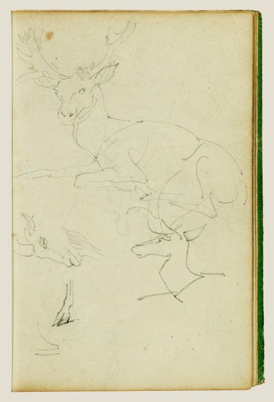 Studium siedzącego jelenia, jelonka i głowy kozy autorstwa Theodore Gericault