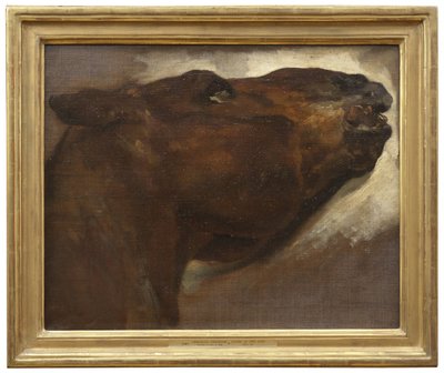 Studium martwego konia autorstwa Theodore Gericault