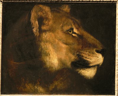 Tete de lionne. Głowa lwicy ... autorstwa Theodore Gericault