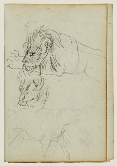 Trzy badania nad lwami autorstwa Theodore Gericault