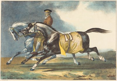  autorstwa Theodore Gericault