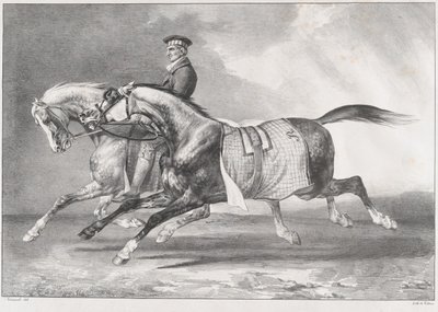 Dwa konie o umaszczeniu szarym cętkowanym podczas treningu autorstwa Theodore Gericault