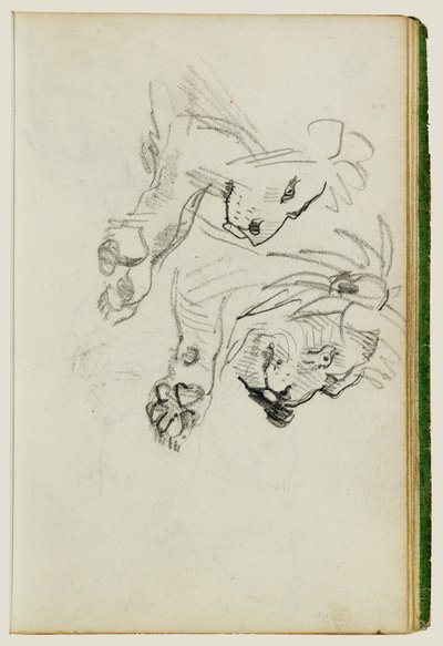 Dwa badania dotyczące lwów autorstwa Theodore Gericault