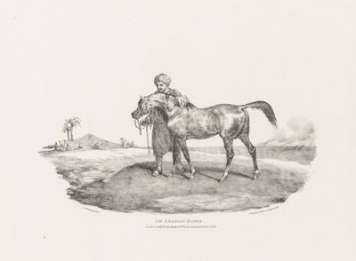 Różne motywy z natury i na kamieniu:  Koń arabski autorstwa Theodore Gericault