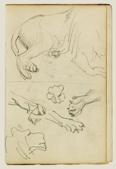 Różne badania lwich nóg, łap i głowy autorstwa Theodore Gericault