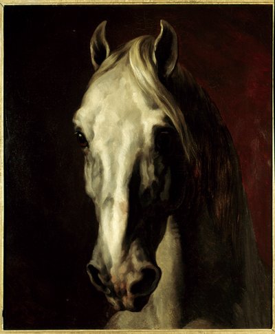 Głowa białego konia. Obraz Theodore