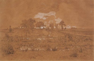 Wieczorny krajobraz z torfowiskiem autorstwa Theodore Rousseau
