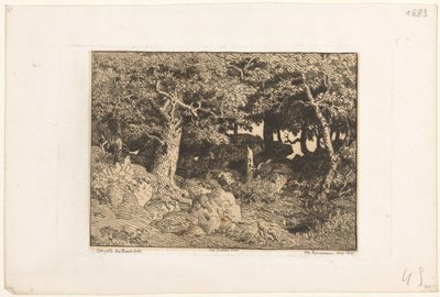 Dęby na skałach Chenes de Roche (tytuł oryginalny) autorstwa Theodore Rousseau