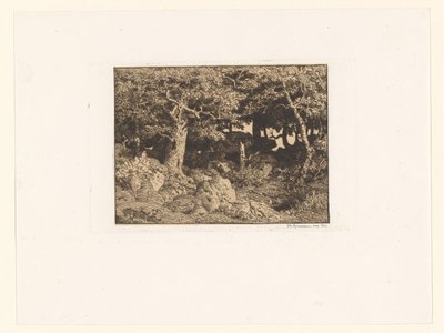Dęby na skałach Chenes de Roche (tytuł oryginalny) autorstwa Theodore Rousseau