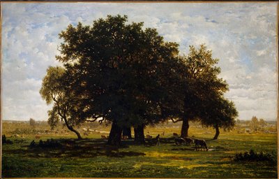 Grupa Chenes, Apremont. Obraz Theodore Rousseau (1812-1867) autorstwa Pierre Etienne Theodore Rousseau