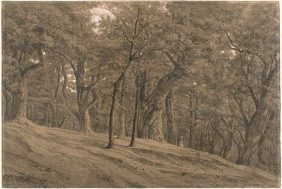 W lesie Fontainbleau autorstwa Theodore Rousseau