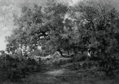 Krajobraz, ok. 1860. autorstwa Theodore Rousseau