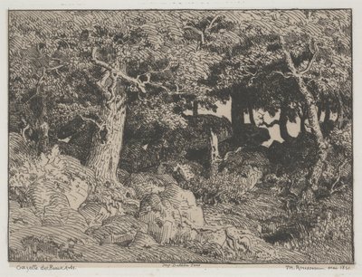 Dęby i skały autorstwa Pierre Etienne Theodore Rousseau