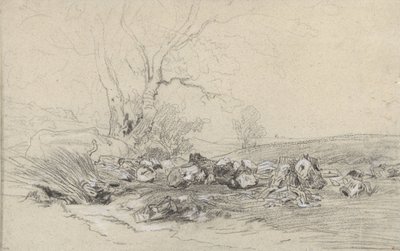 ścięte drzewa autorstwa Theodore Rousseau