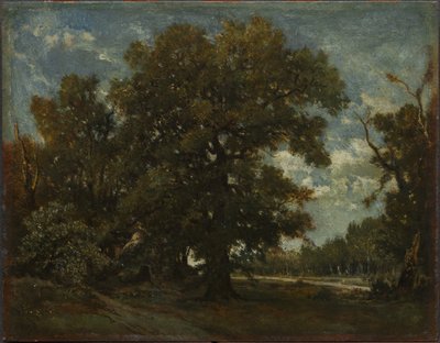 Dąb autorstwa Theodore Rousseau