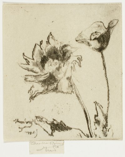 Dwa Kwiaty autorstwa Theodore Roussel