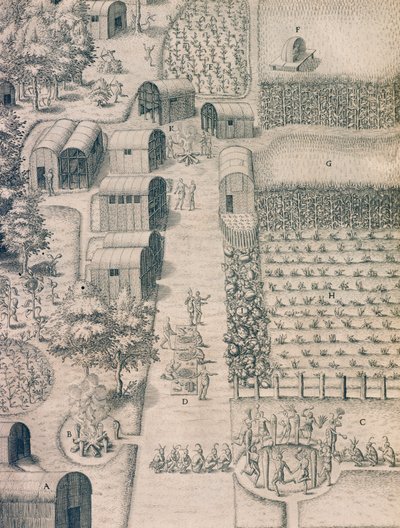 Indiańska wioska otoczona ziemią uprawną w Wirginii autorstwa Theodore de Bry
