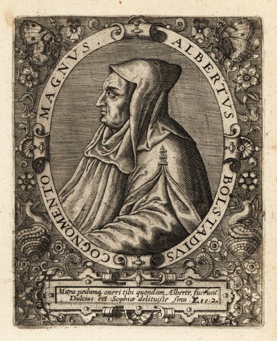 Albertus Magnus, niemiecki biskup katolicki. autorstwa Theodore de Bry