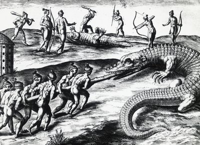 Polowanie na krokodyle na Florydzie, z obrazu Jacquesa le Moyne de Morgues (ok. 1533-przed 1588), autorstwa Theodora de Bry (1528-1598). rytownictwo autorstwa Theodore de Bry