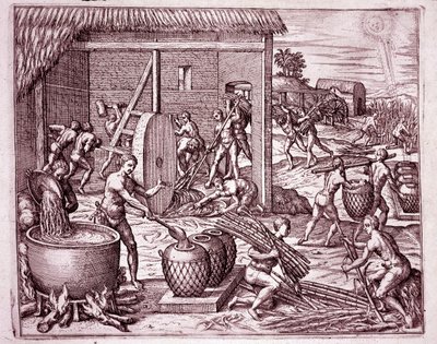 Historia Ameryki: zbieranie trzciny cukrowej i produkcja cukru przez indyjskich niewolników pracujących dla hiszpańskich konkwistadorów (Grawerowanie autorstwa Theodore de Bry