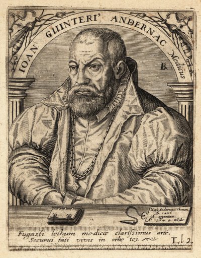 Johann Winter von Andernach, niemiecki lekarz autorstwa Theodore de Bry