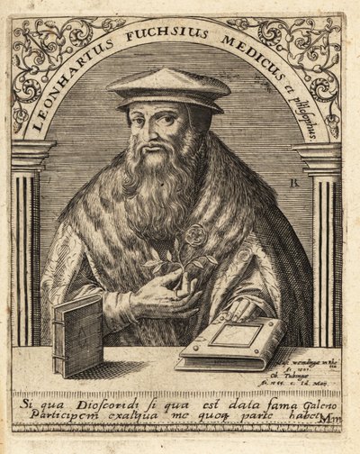Leonhart Fuchs, niemiecki lekarz i botanik 1501-1566 . autorstwa Theodore de Bry