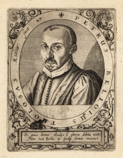 Pierre de Belloy, francuski prawnik i sędzia. autorstwa Theodore de Bry