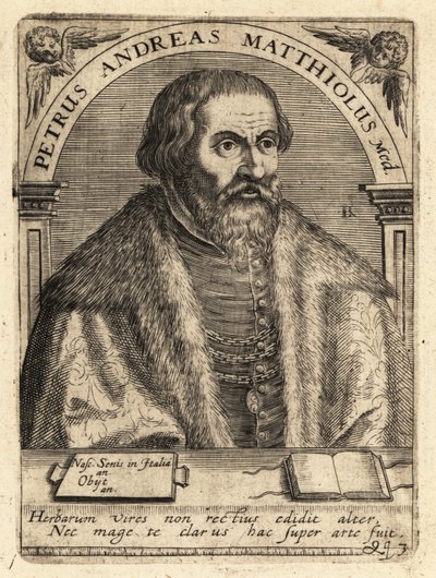 Pietro Andrea Gregorio Mattioli, włoski lekarz autorstwa Theodore de Bry