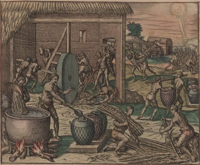 Niewolnicy przetwarzają trzcinę cukrową i wytwarzają cukier, 1595. autorstwa Theodore de Bry