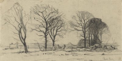 Krajobraz z drzewami autorstwa Theophile de Bock