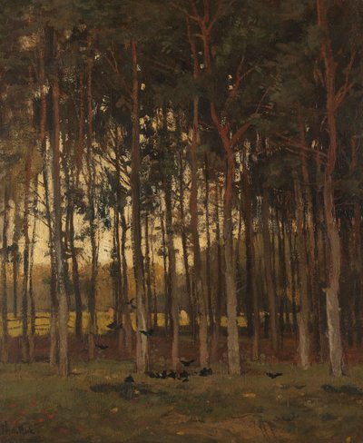 Widok w lesie autorstwa Theophile de Bock