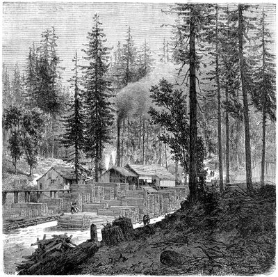 „Tartak”, Kalifornia, XIX wiek. autorstwa Theroud