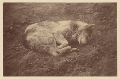 [Sleeping Dog] autorstwa Théodule Devéria