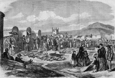 Rynek kości słoniowej i skór w Grahamstown, Albania, Cape Colony autorstwa Thomas (after) Baines