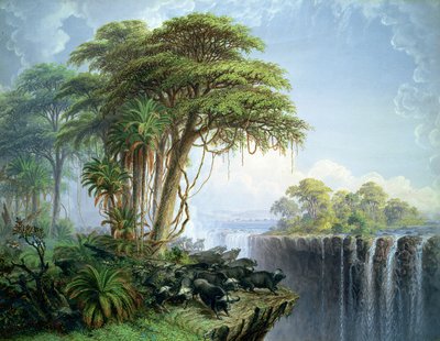 Nieznany obraz autorstwa Thomas Baines