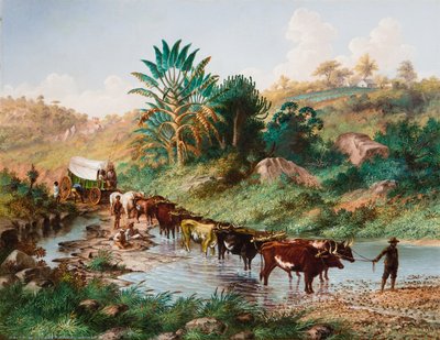 Wagon pokonujący zaspę - Natal autorstwa Thomas Baines