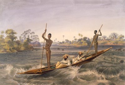Zanjueelah, wioślarz bystrzy, pub. 1865. autorstwa Thomas Baines