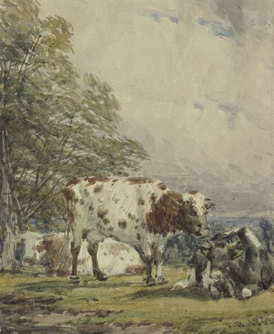 Studium bydła, XIX w. autorstwa Thomas Baker