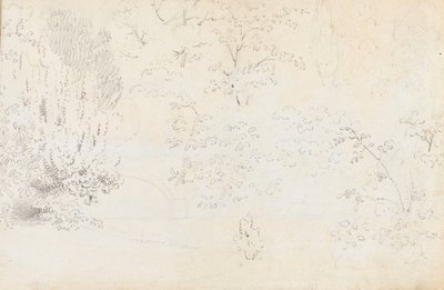 Grafitowe studium mostu i drzew od strony zachodniej (verso) autorstwa Thomas Baxter
