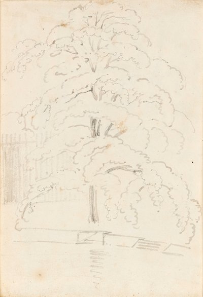 Studium drzewa nad wodą (verso) autorstwa Thomas Baxter