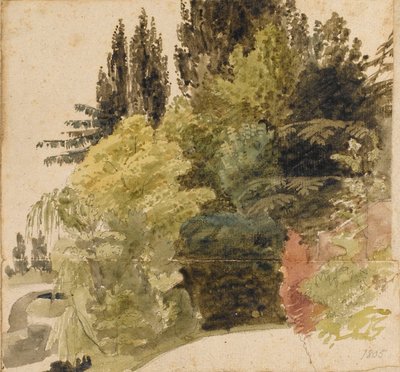 Badanie drzew na terenie przy Merton Place autorstwa Thomas Baxter