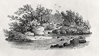 Zakole w rzece, z „Ptaków wodnych”, wydana w 1804 r. (drewno) autorstwa Thomas Bewick