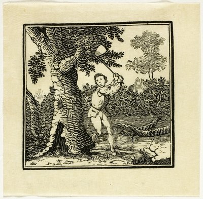 Książka ilustracja autorstwa Thomas Bewick