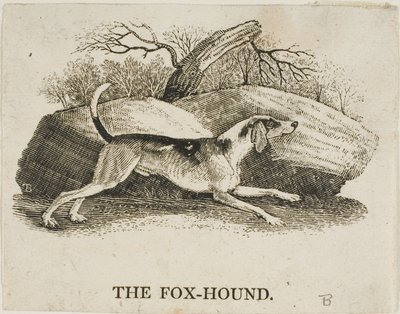 Fox Hound autorstwa Thomas Bewick
