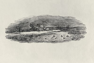 Skały z żeglugą przybrzeżną, c. 1801 z „Water Birds”, wydana 1804 (drewno) autorstwa Thomas Bewick