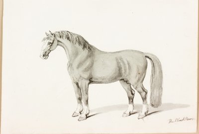 Czarny koń (tusz na papierze) autorstwa Thomas Bewick